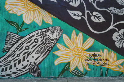 An urban mural depicting a fish and flowers. Photo by Tom Donkin.