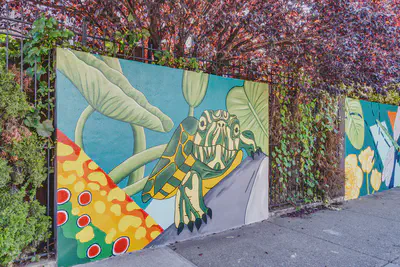 An urban mural depicting a turtle looking at the viewer. Photo by Tom Donkin.